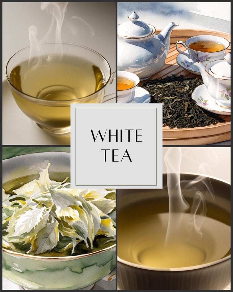 White - Traditional & Flavored