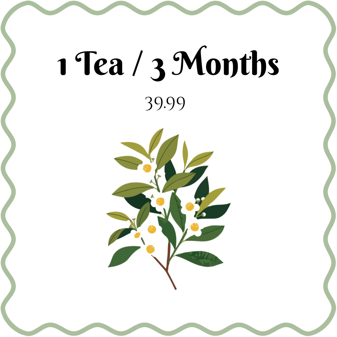 π΅ Monthly Tea Subscription β One-Time Purchase