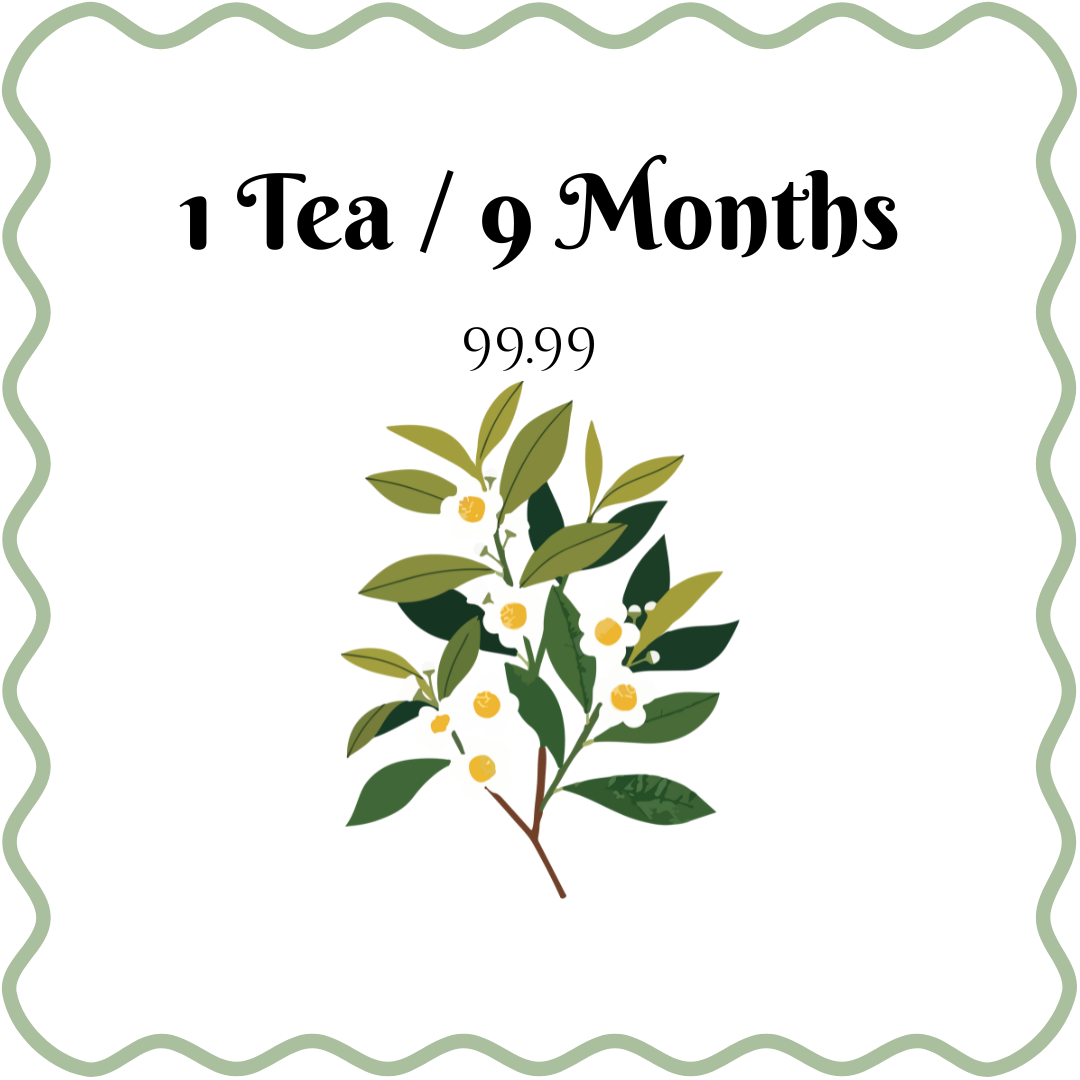 π΅ Monthly Tea Subscription β One-Time Purchase