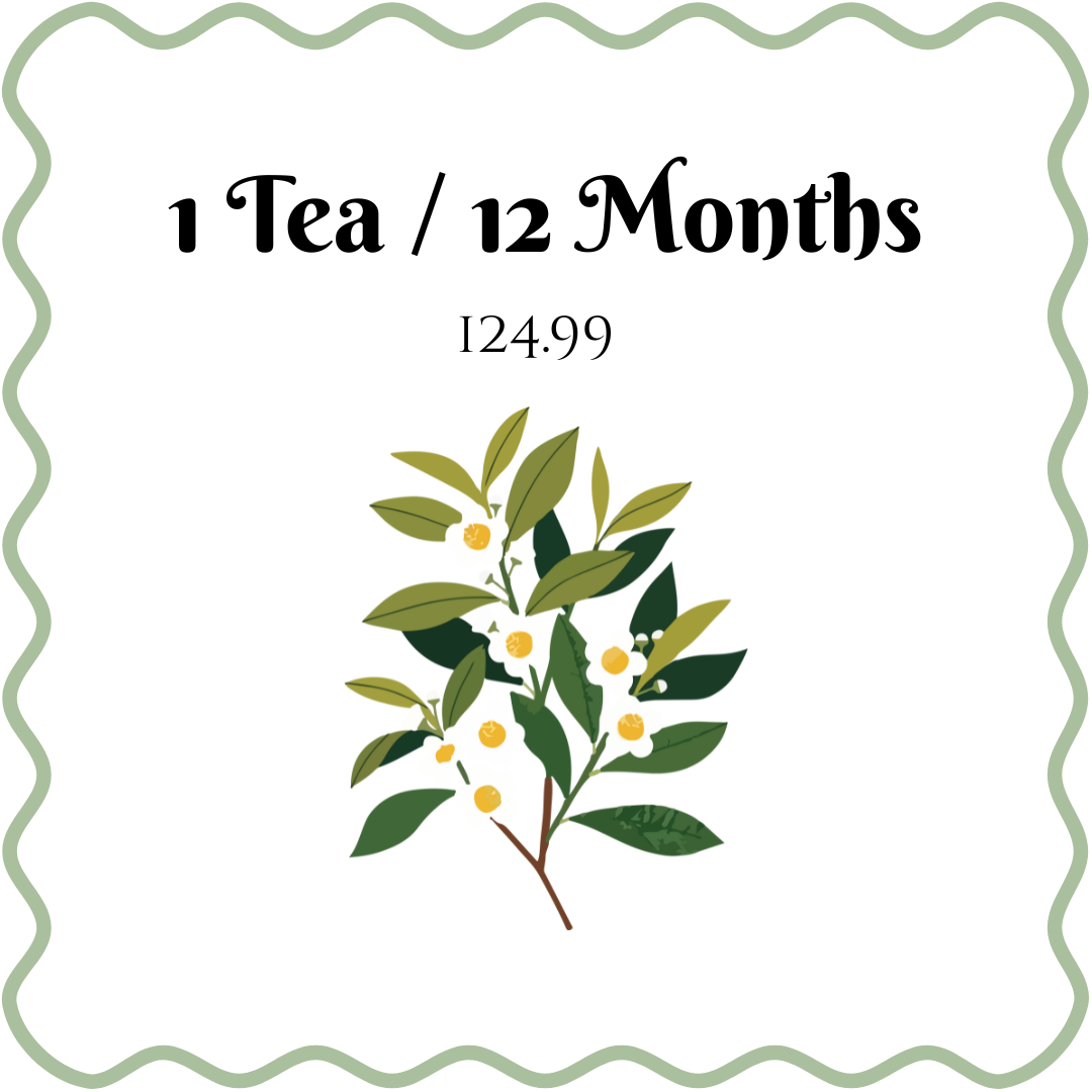 π΅ Monthly Tea Subscription β One-Time Purchase