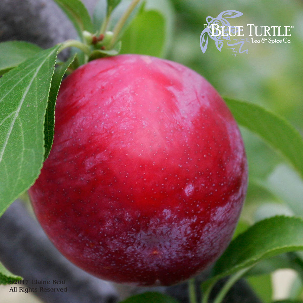 Plum Good