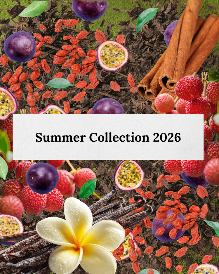 Summer 2026 Collection