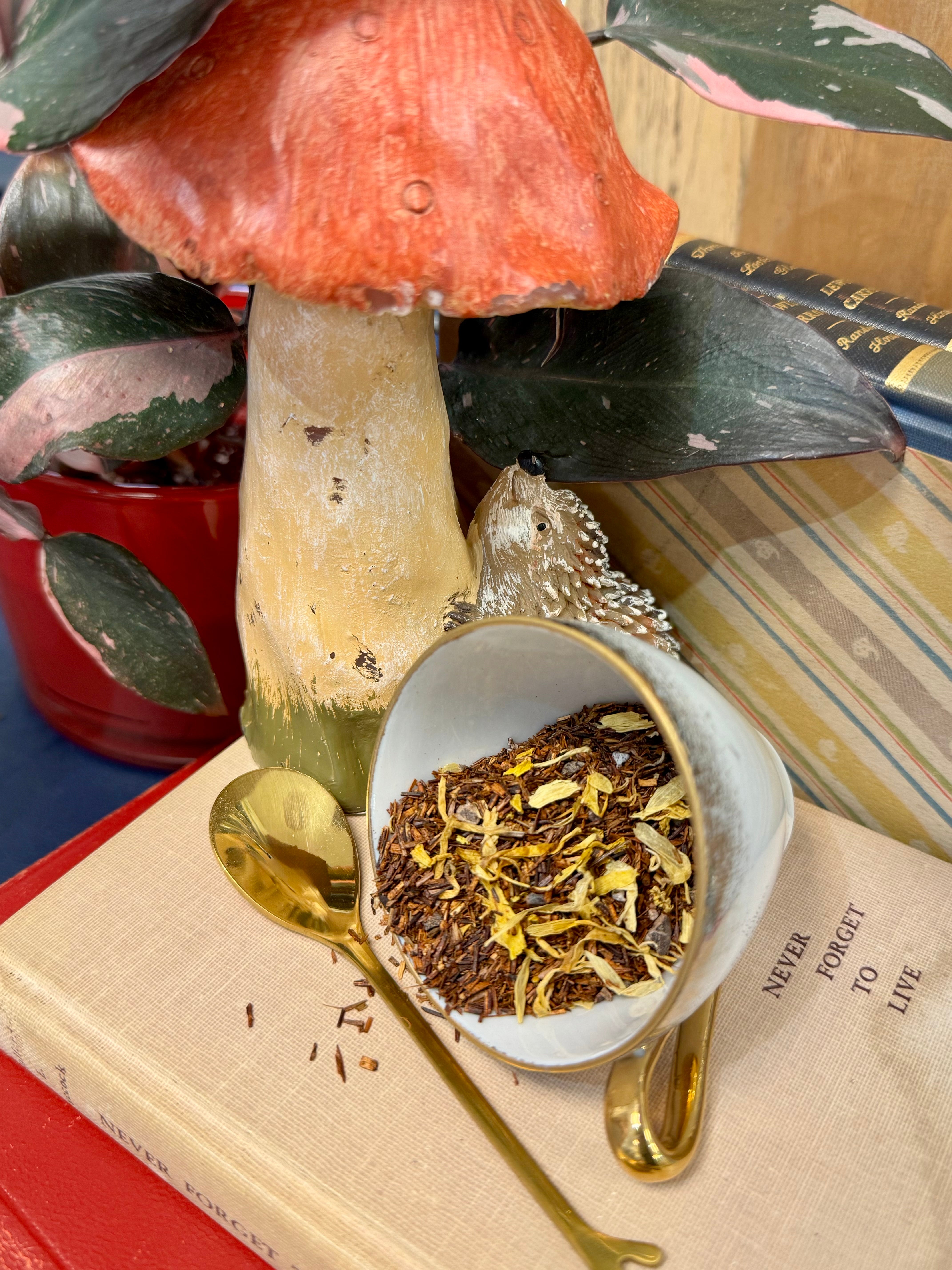 Lady Godiva - Rooibos Tea, Herbal Tea, Herbal Remedy – The Blue Turtle ...