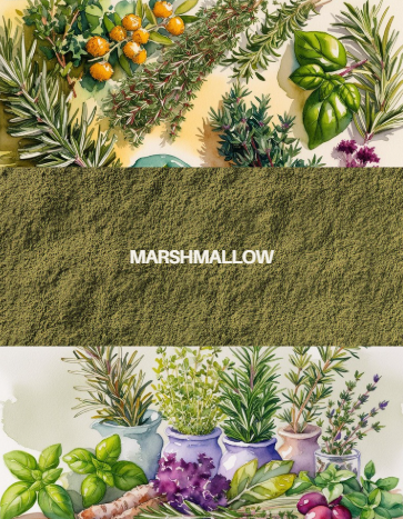 Marshmallow 1.5oz organic