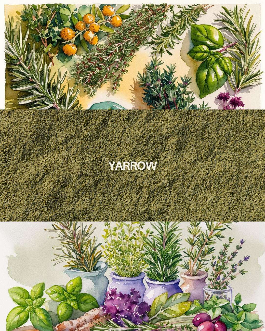 Yarrow 1oz