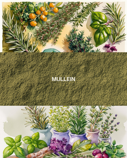 Mullein 0.8oz