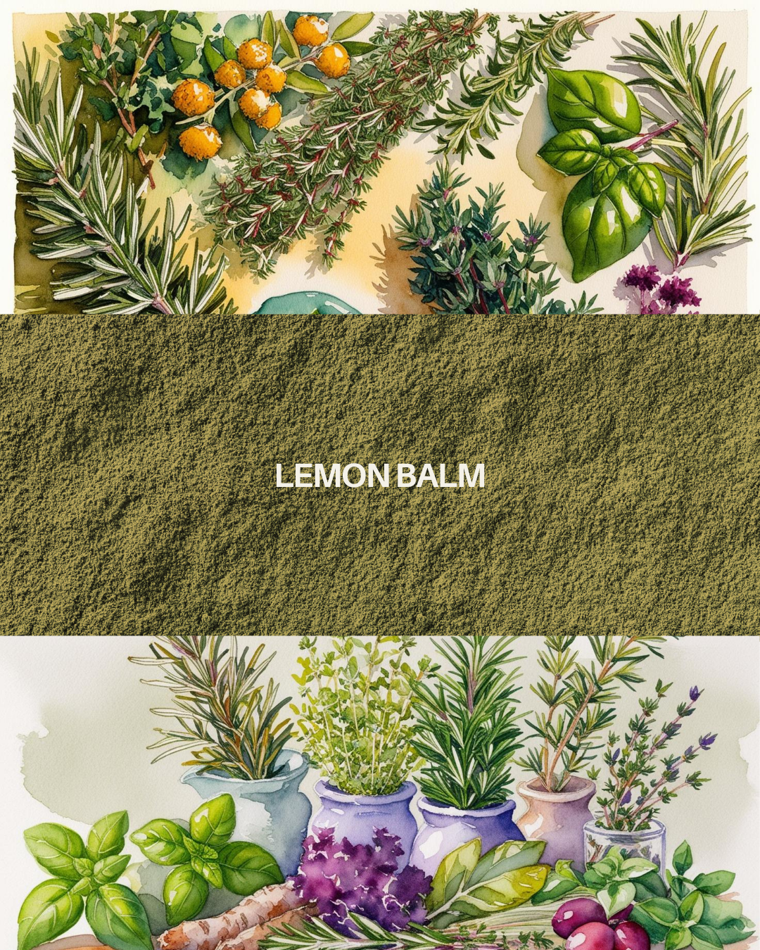 Lemon Balm 1 oz organic