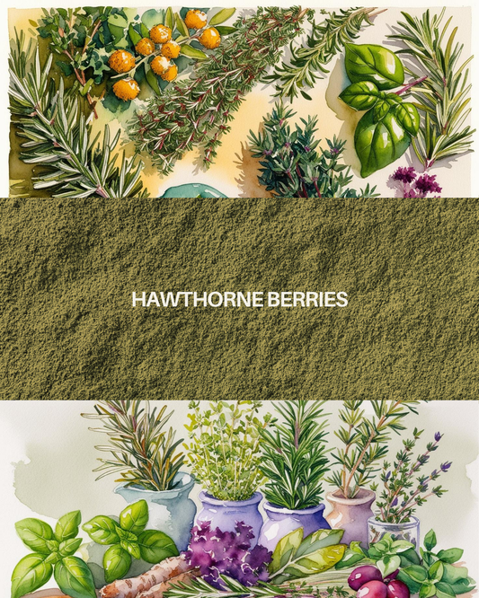 Hawthorne Berries 2.5oz organic
