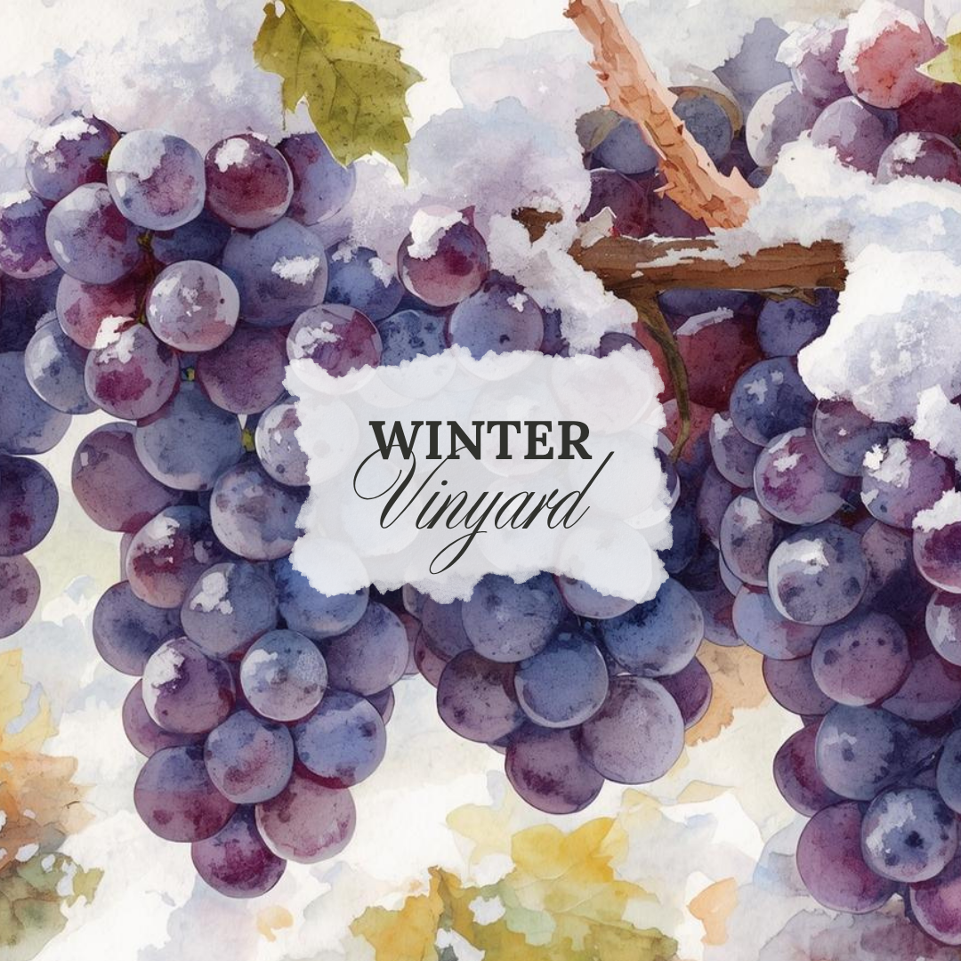 Winter Vinyard